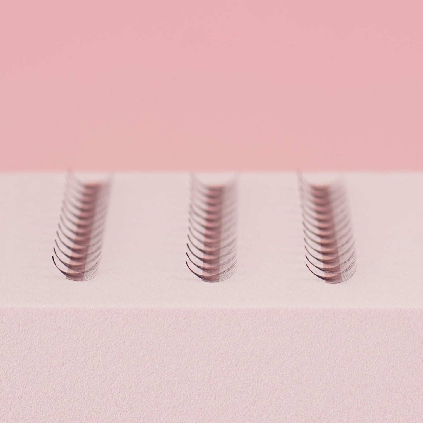 12D Easy Promade Fans - 1000 fans - #tag1# - Lashly Beauty