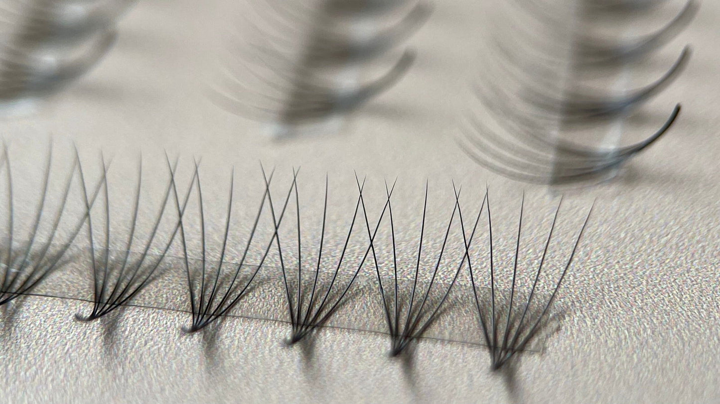 5D EASY Promade Fans - 1000 fans - #tag1# - Lashly Beauty