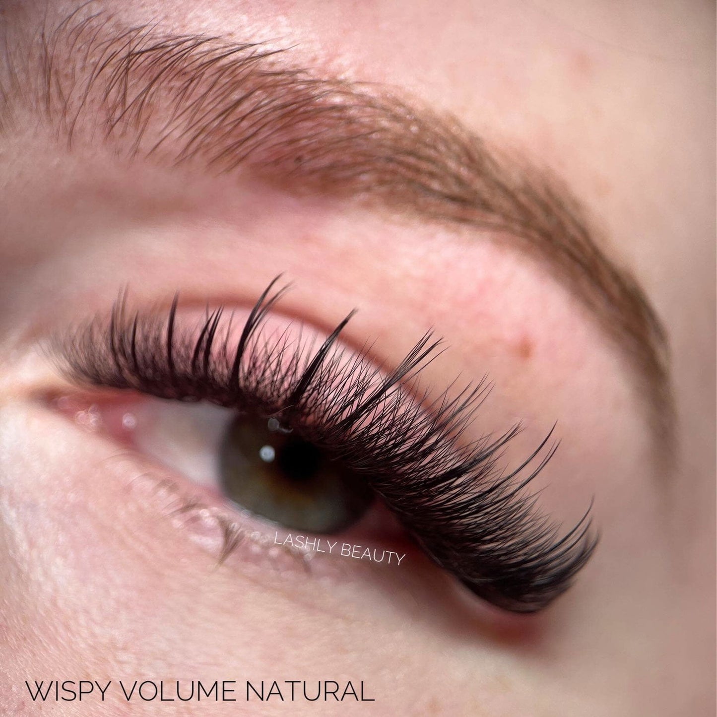 5D Wispy Promade - 1000 fans - #tag1# - Lashly Beauty