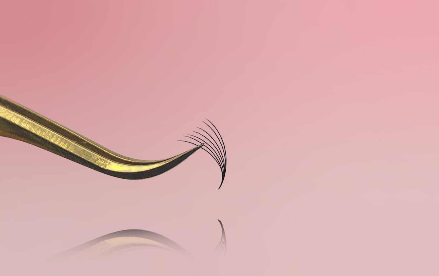 7D Promade Mega Black Box - 600 fans