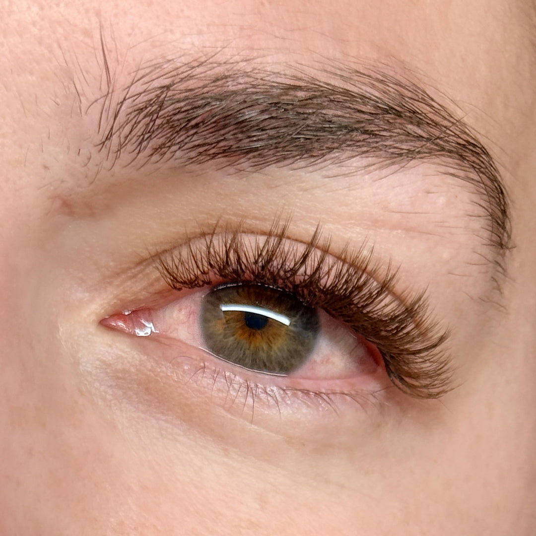 BROWN Lash 5D Promade Mega Box - 600 fans