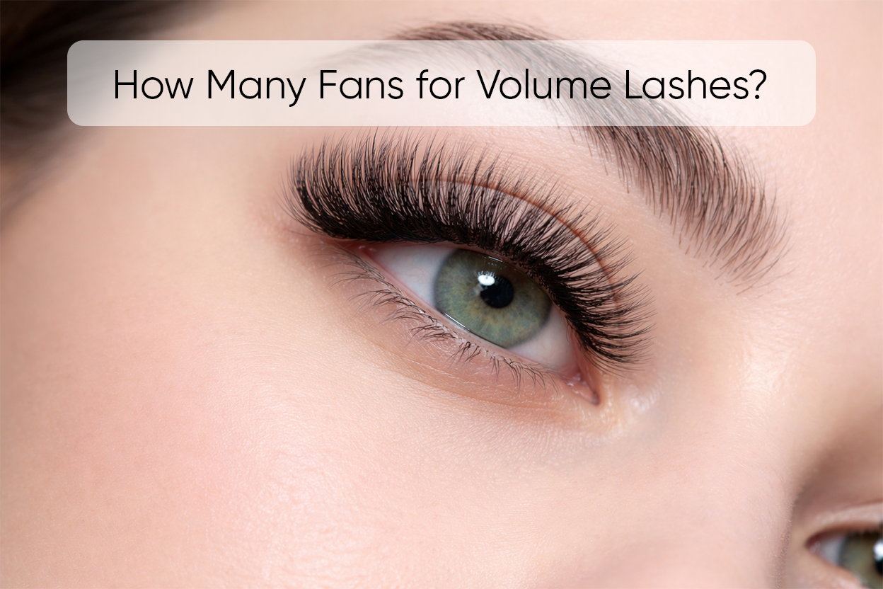 How many fans for volume lashes