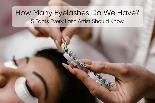 How Many Eyelashes Do We Have? 5 Facts Every Lash Artist Should Know