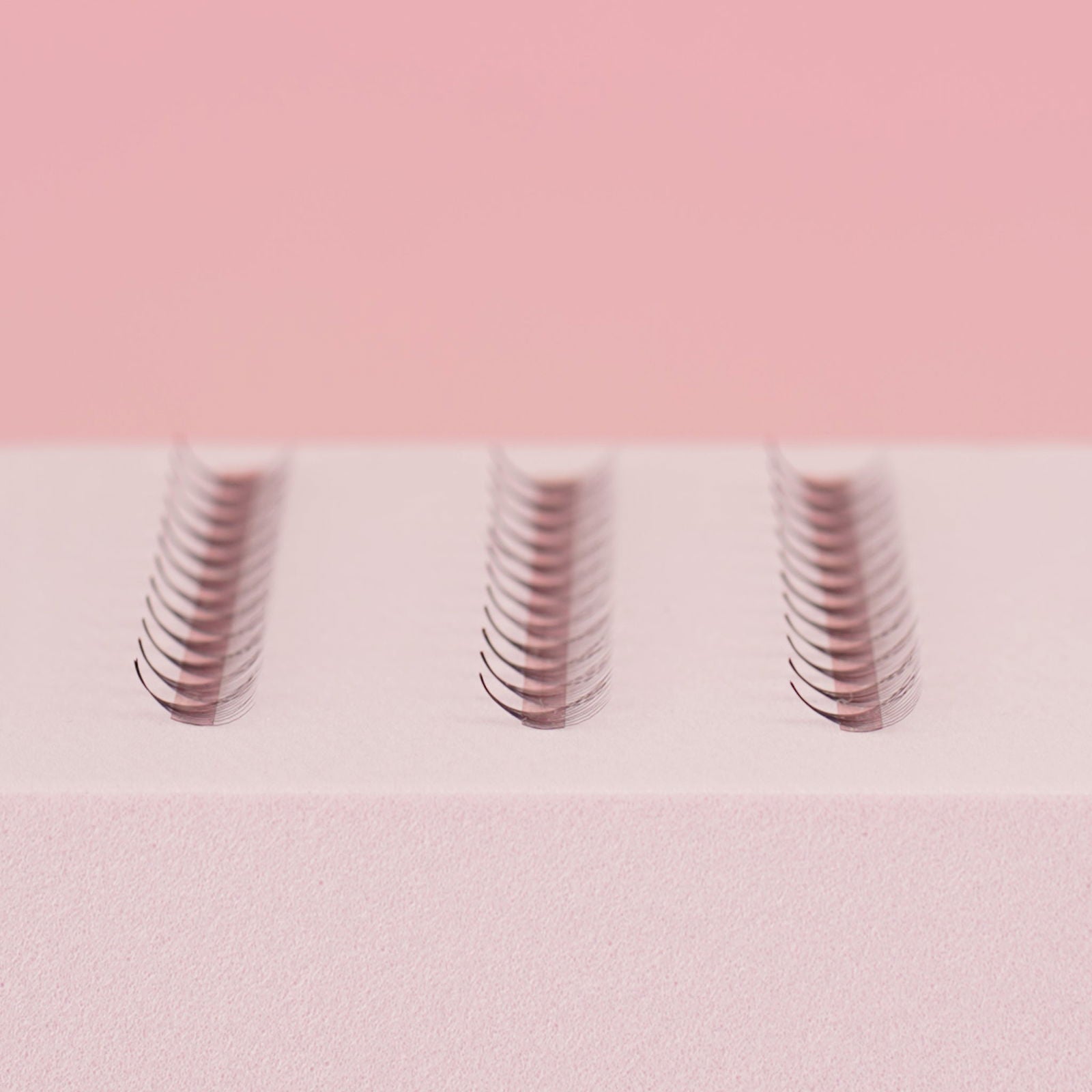 12D Easy Promade Fans - 1000 fans - #tag1# - Lashly Beauty
