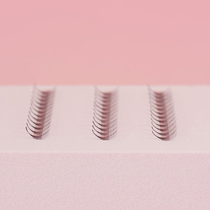 12D Easy Promade Fans - 1000 fans - #tag1# - Lashly Beauty