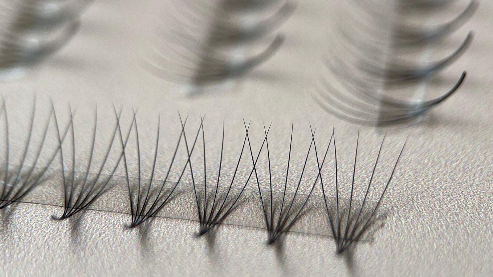 5D EASY Promade Fans - 1000 fans