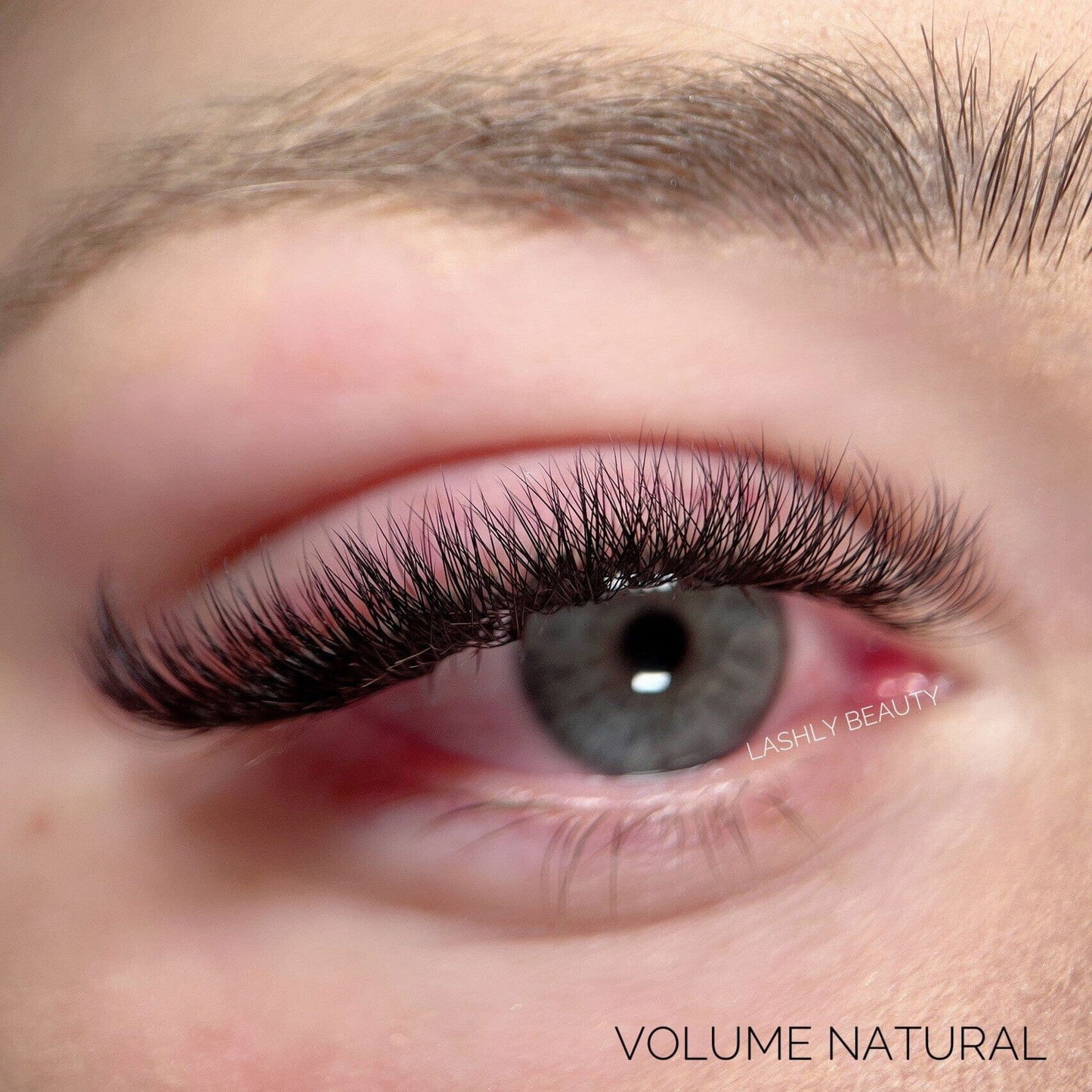 5D EASY Promade Fans - 1000 fans - #tag1# - Lashly Beauty
