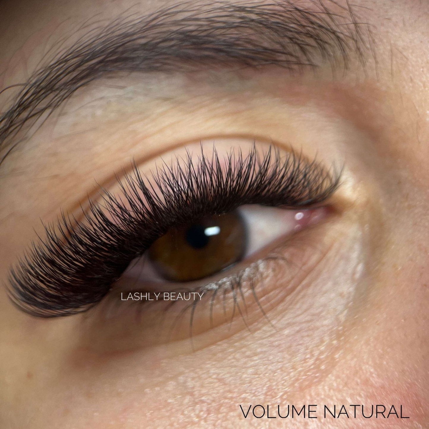 5D EASY Promade Fans - 1000 fans - #tag1# - Lashly Beauty