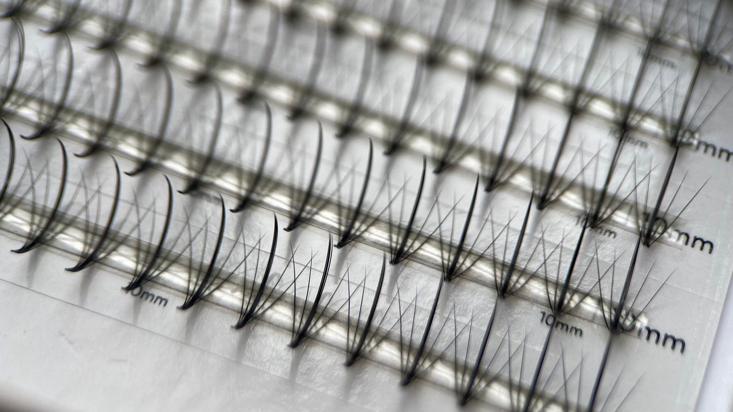 5D Wispy Promade - 1000 fans - #tag1# - Lashly Beauty