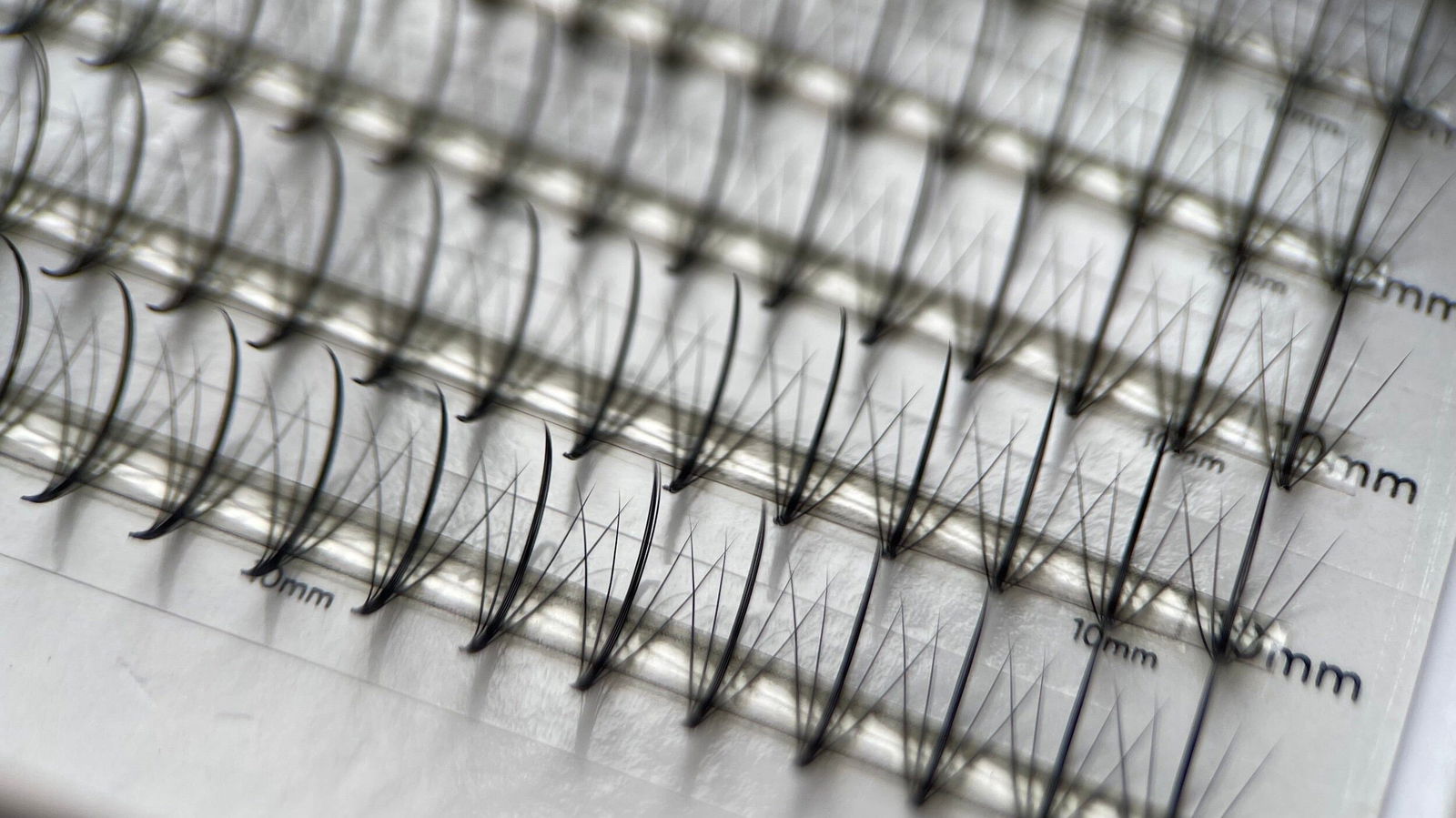 5D Wispy Promade - 1000 fans - #tag1# - Lashly Beauty