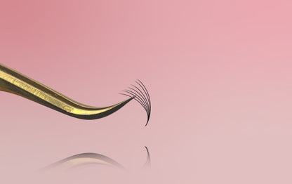 7D Promade Mega Black Box - 600 fans