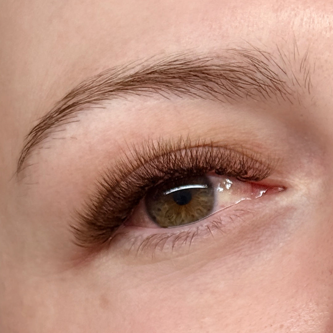 BROWN Lash 5D Promade Mega Box - 600 fans